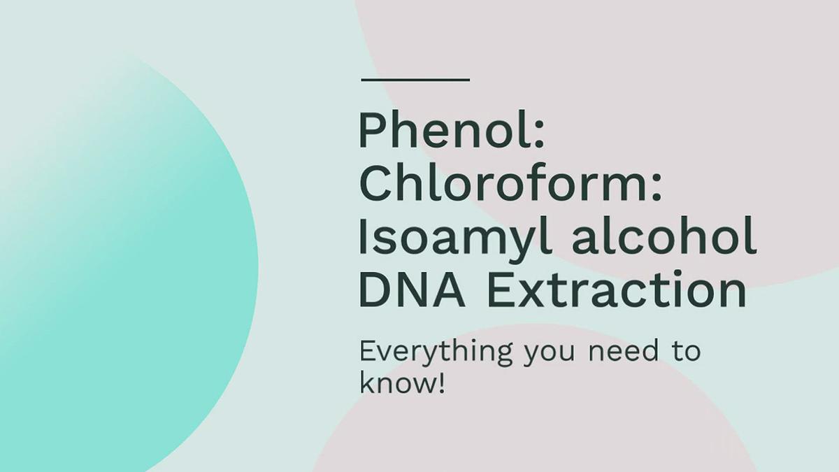 PhenolChloroformIsoamyl alcohol DNA Extraction Method